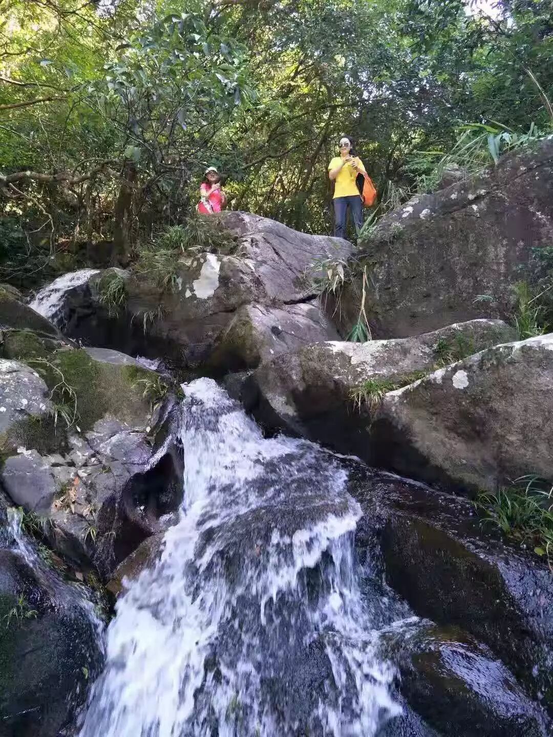 The stream everybody walked up.